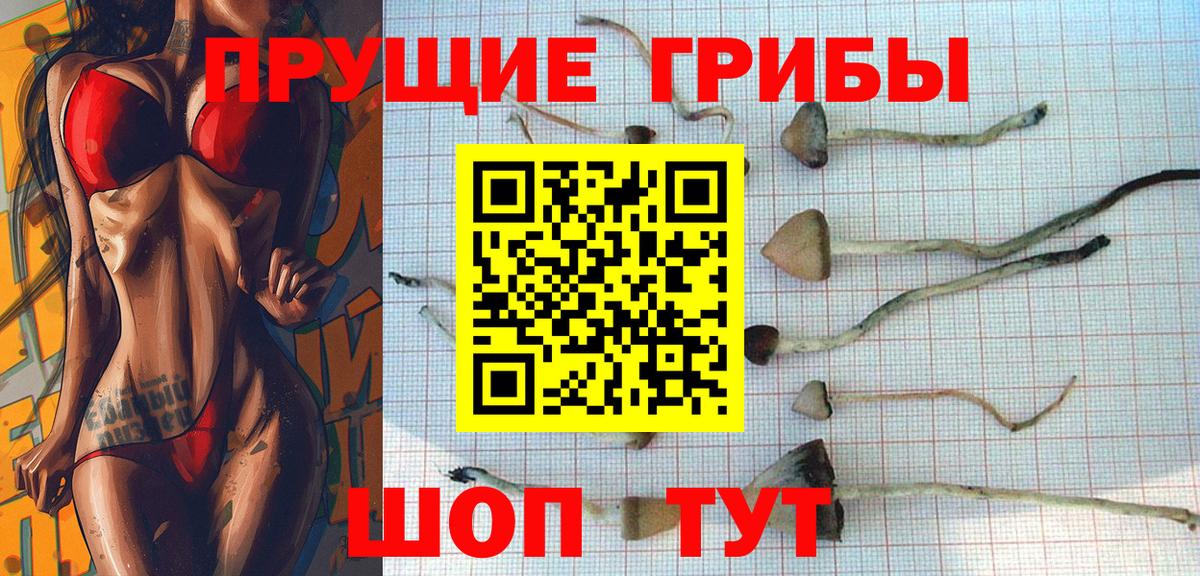 Галлюциногенные грибы Magic Shrooms  дарнет шоп  Верхний Уфалей  Вход с VPN  Псилоцибиновые грибы Psilocybe 