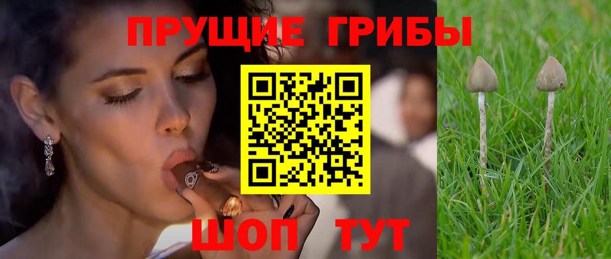 Галлюциногенные грибы GOLDEN TEACHER Верхний Уфалей